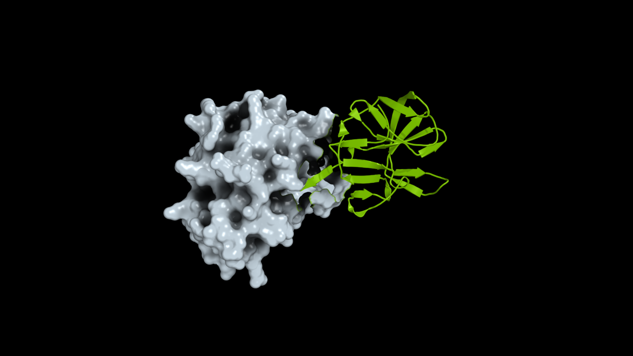 NVIDIA helps open viral protein structures for pandemic research